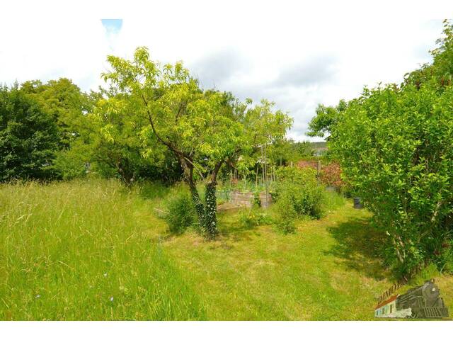 Immobilie in Bad Fischau - Bauträger und Investoren aufgepasst - 1.884 m² Bauland in Bad Fischau mit Altbestand - 2 Parzellen/4 Wohneinheiten möglich - Bild 3