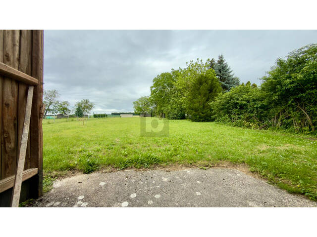 Immobilie in Nikitsch - Preisreduktion! TOP GEPFLEGT MIT 129 QM STADL UND SONNIGEM XXL GARTEN MIT 2 ZUFAHRTEN - Bild 2