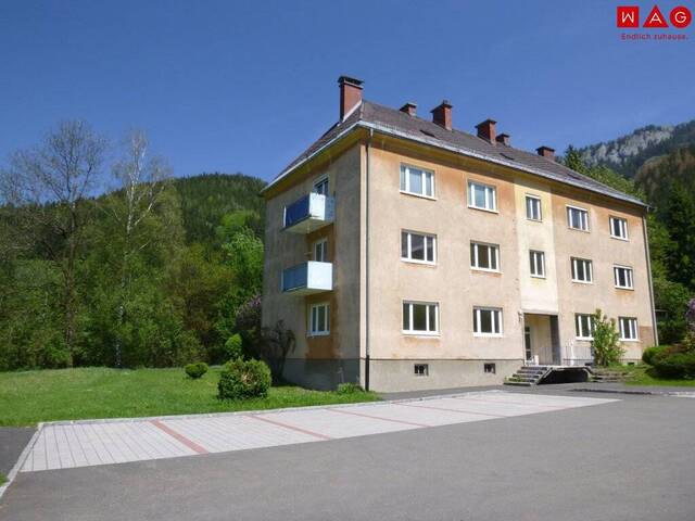 Immobilie in Eisenerz - Schnäppchen-Haus mit viel Potential in traumhafter Lage! - Bild 0