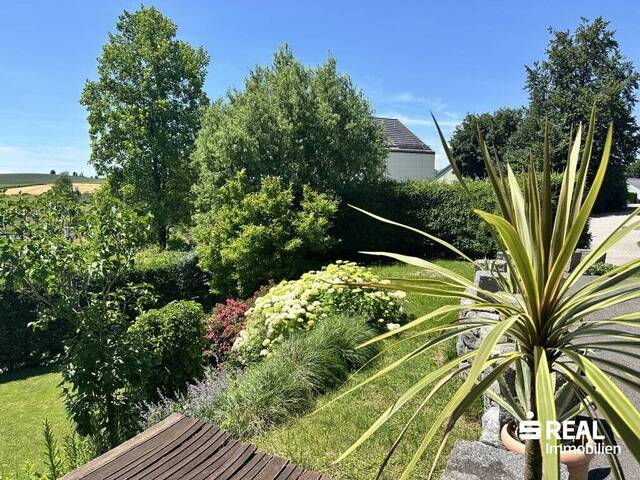 Immobilie in Wilhering - Modernes Einfamilienhaus mit Pool in Top-Lage von Wilhering mit traumhaftem Grünblick - Bild 3
