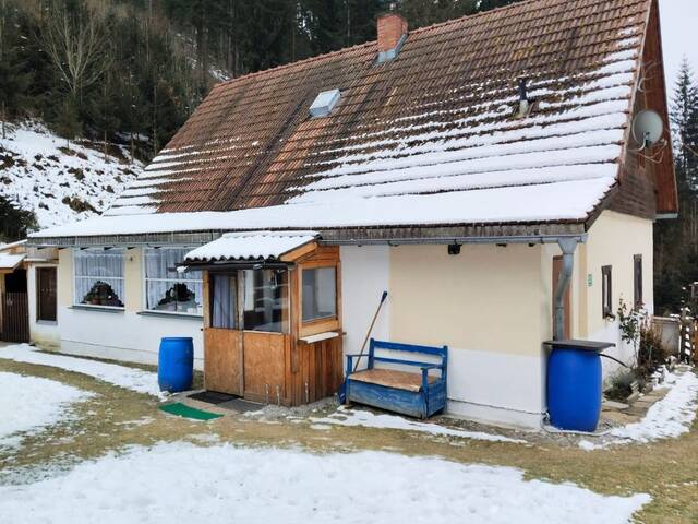 Immobilie in Proleb - Haus zu verkaufen - Bild 1
