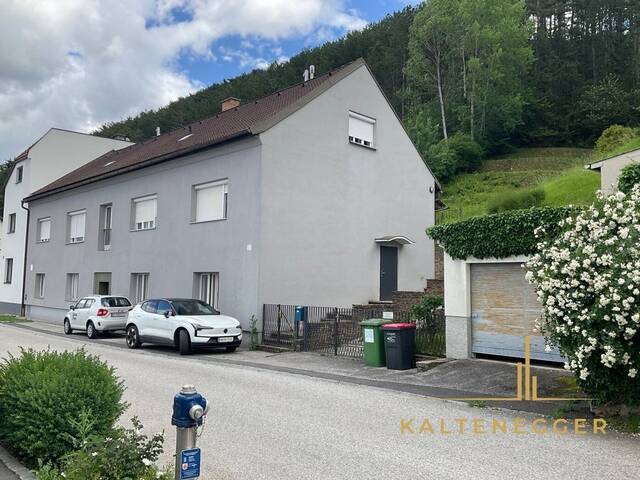 Immobilie in Wimpassing im Schwarzatale - Großzügiges Haus in Wimpassing im Schwarzatale - Bild 1