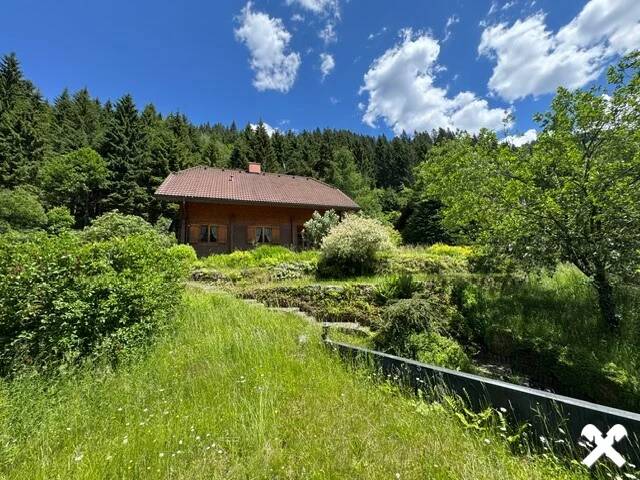 Immobilie in Donnersbachwald - Natur genießen - Alltag vergessen, Ferienhaus in Donnersbachwald - Bild 4