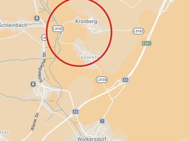 Immobilie in Kronberg - 2.540 m² + 6-Zimmer-Haus + Weinkeller in Kronberg mit Aussicht - Bild 3