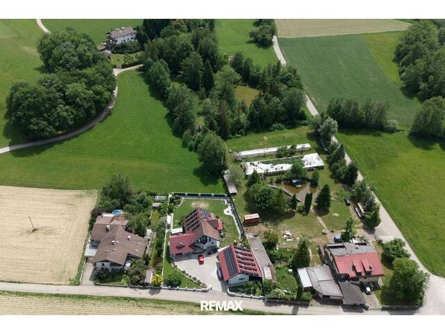 Immobilie in Helpfau-Uttendorf - Ländliches Anwesen mit insgesamt ca.14.000 m² Grund - Bild 3