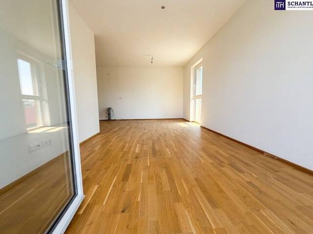 Immobilie in Kalsdorf bei Graz - Wohnen im Grünen - Exklusives Wohnbauprojekt am Zirbenweg in Kalsdorf bei Graz- Ruhe, Weitblick und moderne Wohnqualität vor den Toren von Graz - Bild 1
