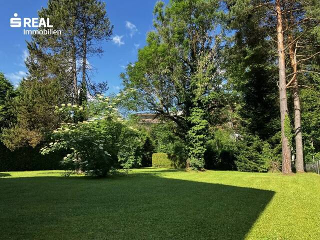 Immobilie in Türnitz - Ihr Zuhause in Türnitz - Bild 2