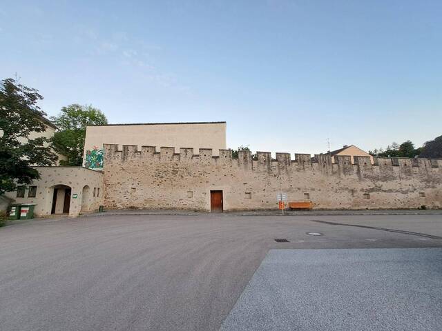 Immobilie in Raabs an der Thaya - Waldviertel, Raabs an der Thaya, Haus mit grossen Potenzial zum Wohnen, Festsaal, Tanzsaal, Geschäftslokal, Garage, Lager, Motel, Ordination etc. - Bild 0