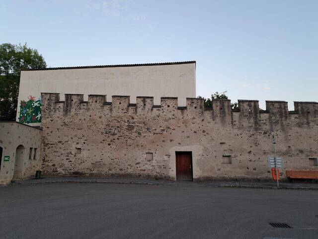 Immobilie in Raabs an der Thaya - Waldviertel, Raabs an der Thaya, Haus mit grossen Potenzial zum Wohnen, Festsaal, Tanzsaal, Geschäftslokal, Garage, Lager, Motel, Ordination etc. - Bild 1