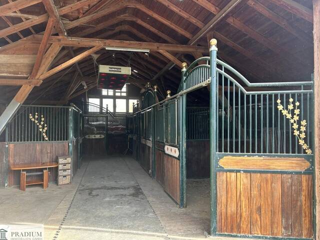 Immobilie in Hochneukirchen - Exklusiver Pferdehof mit 2 Wohneinheiten, Reithalle & großem Grund in Hochneukirchen - Bild 0
