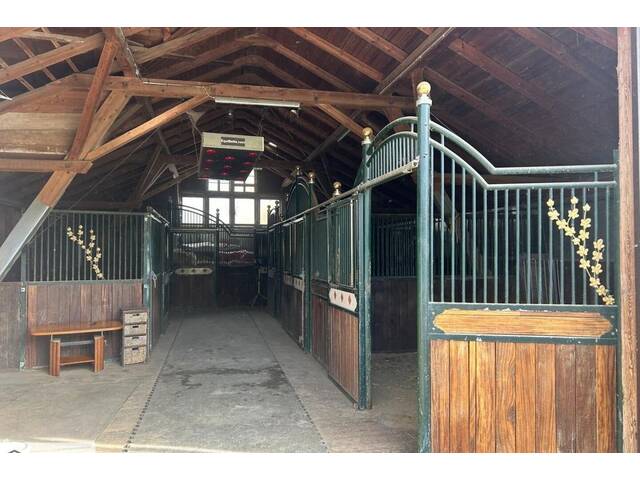 Immobilie in Hochneukirchen - Exklusiver Pferdehof mit 2 Wohneinheiten, Reithalle & großem Grund in Hochneukirchen - Bild 3