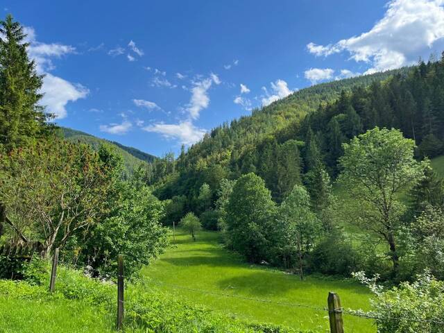 Immobilie in Großstübing - Paradies in Nähe zu Graz - Wunderbarer Besitz in Großstübing - Bild 0