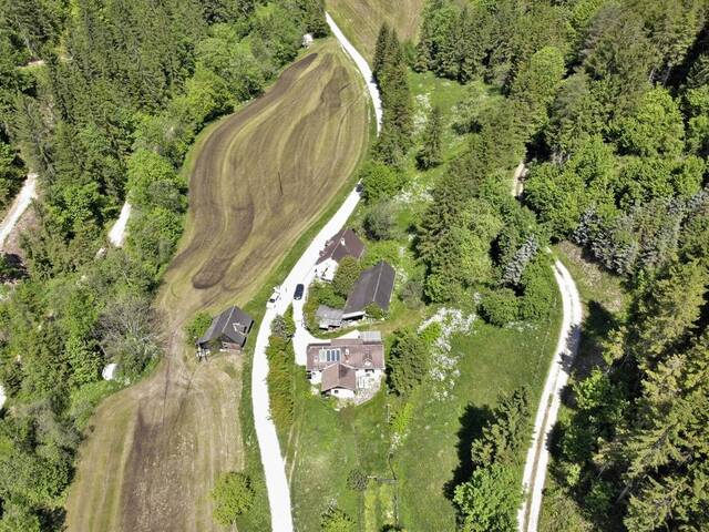 Immobilie in Großstübing - Paradies in Nähe zu Graz - Wunderbarer Besitz in Großstübing - Bild 2