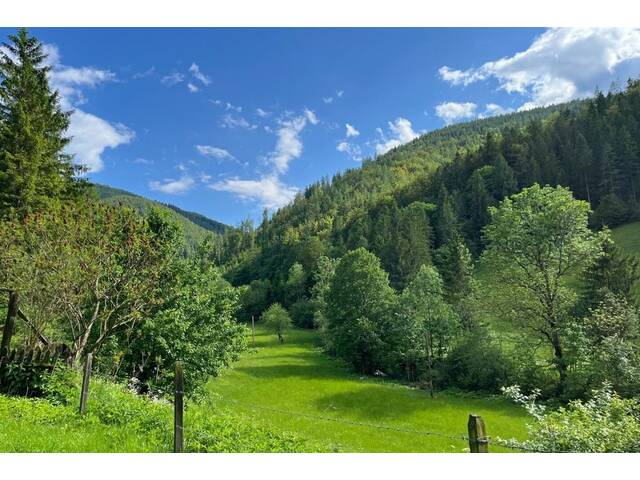 Immobilie in Großstübing - Paradies in Nähe zu Graz - Wunderbarer Besitz in Großstübing - Bild 3