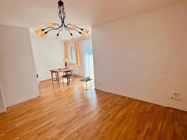 Immobilie in Rohrbach - Barrierefreie 3-Zimmer-Wohnung mit Terrasse und Carport im Zentrum von Rohrbach-Berg - Bild 4