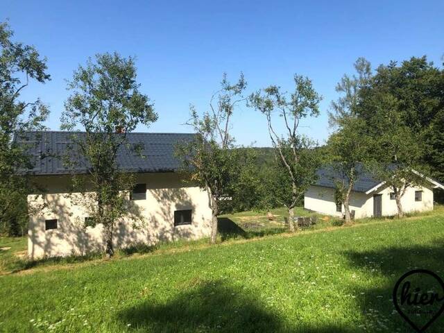 Immobilie in Maria Bild - * Südburgenland/Maria Bild - Doppelhaus mal anders: ZWEI Neubau-Häuser zu Top-Preis in absoluter Grün-Ruhelage * - Bild 2