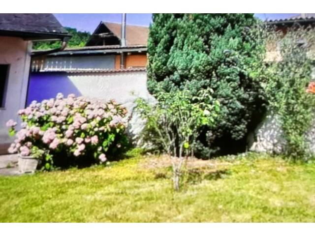 Immobilie in Stinatz - Einfamilienhaus im Südburgenland - Bild 4