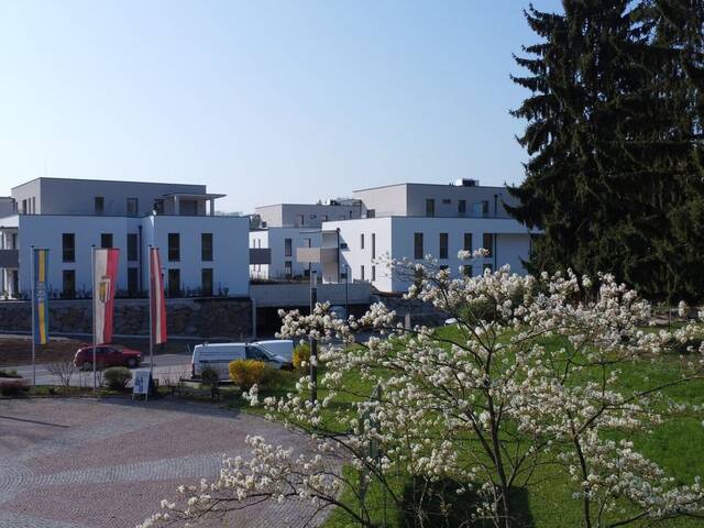 Immobilie in Fischlham - Landliebe in Fischlham bei Wels - 20 moderne Eigentumswohnungen Haus 2 TOP 2 - Bild 2