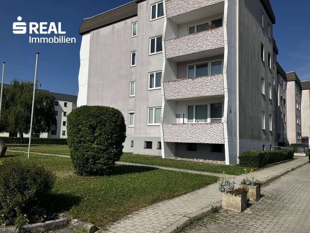 Immobilie in Persenbeug - Nette Erdgeschosswohnung in Persenbeug - Bild 0