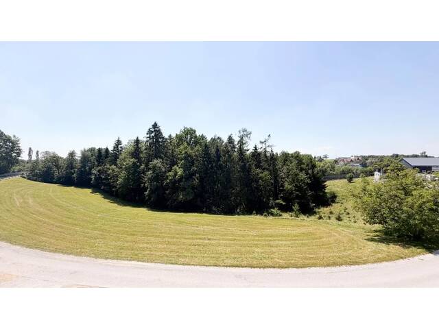 Immobilie in Vasoldsberg - Anlegerhit in Vasoldsberg | Zwischen Graz & Grün - Bild 2