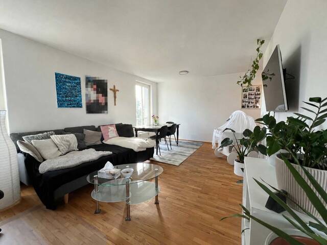 Immobilie in Höchst - Moderne 2-Zimmer-Wohnung für Single oder Paare - Bild 0