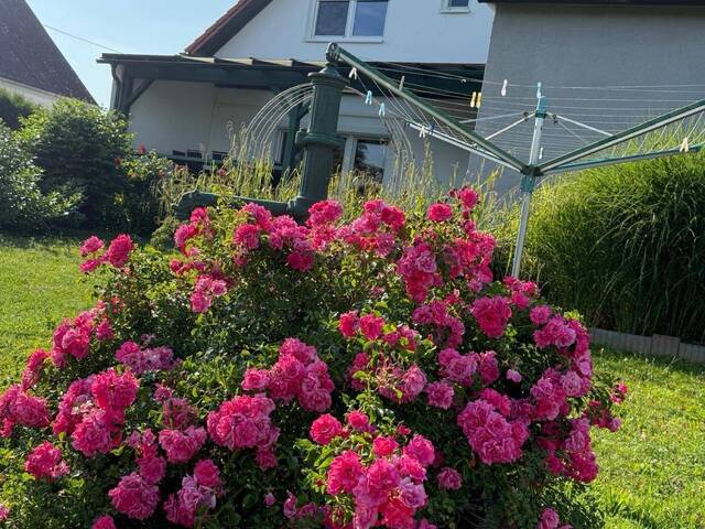 Immobilie in Lutzmannsburg - Liebhaberobjekt: möbliert & bezugsfertig großes Familienhaus oder Gästehaus in Lutzmannsburg mit 180 m² Wohnfläche auf 1.200m² sonnigem Grundstück - Bild 1