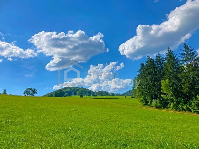Immobilie in Berndorf - Gemütliches kleines Landhaus für Singles oder Paare - ein Paradies im Grünen - Landhaus mit PV-Anlage nahe Wien - Bild 2