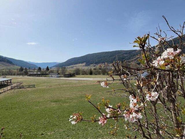 Immobilie in Mauterndorf - Repräsentatives Panorama-Domizil mit exkl. Komfort und vielseitigem Freiraum - Bild 1