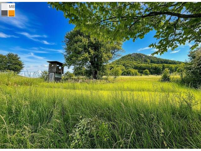 Immobilie in Mayerling - ++ 2 Bauparzellen in atemraubender Natur I MB IMMOBILIEN ++ - Bild 0