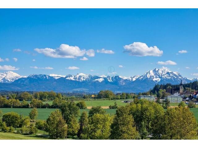 Immobilie in Neukirchen bei Lambach - Wie Erstbezug! Renovierter Bungalow mit Panoramablick, großem Garten, Vollkeller, Doppelgarage, uvm. - Bild 4