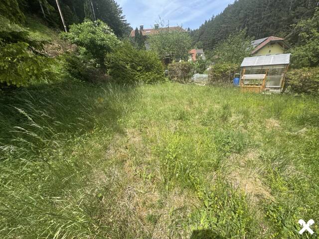Immobilie in Puchberg am Schneeberg - Weg von der Stadt hinein in die Natur - Bild 2