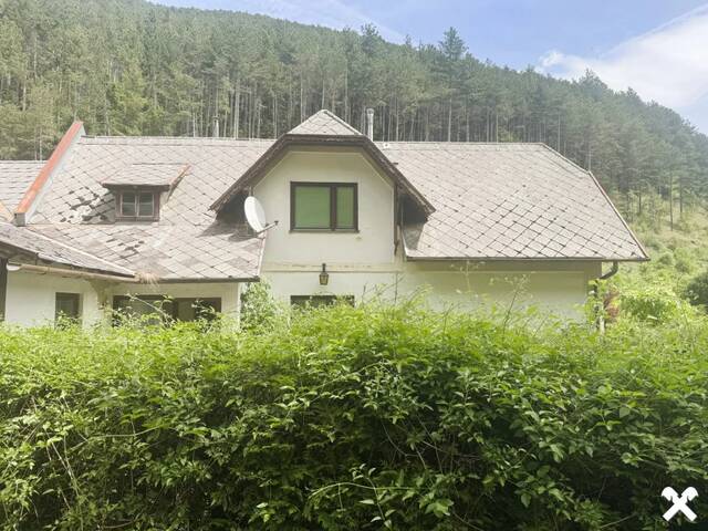 Immobilie in Puchberg am Schneeberg - Weg von der Stadt hinein in die Natur - Bild 4