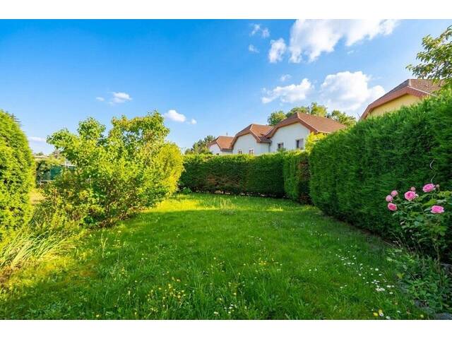 Immobilie in Laab im Walde - Großzügiges Zuhause mit Garten, Keller und Garage - nur 5 Minuten zur Wiener Stadtgrenze! - Bild 4