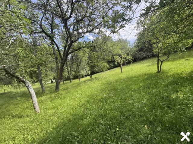 Immobilie in Grünbach am Schneeberg - Naturparadies in Grünbach am Schneeberg- Großzügige Liegenschaft in absoluter Ruhelage - Bild 2