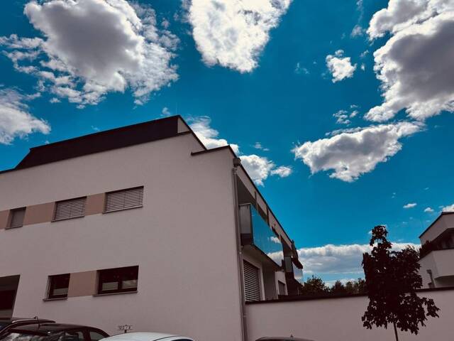 Immobilie in Wilhering - Wohnen mit Garten - Moderne 4-Zimmer-Wohnung in ruhiger Lage - Bild 2