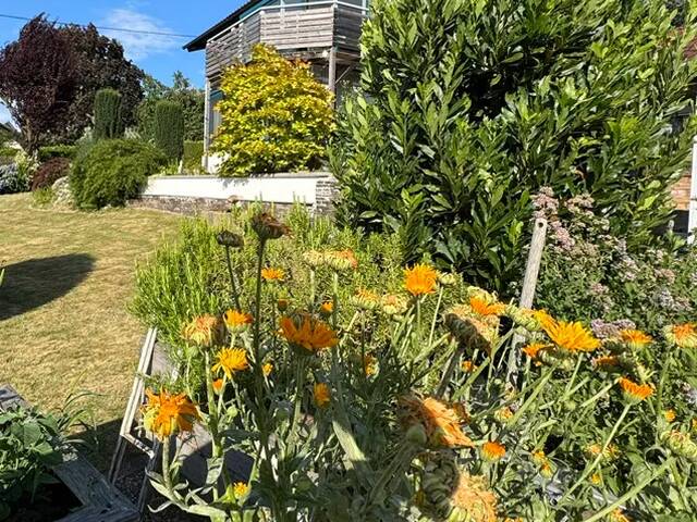 Immobilie in Mitteregg - ##STERISCHE TOSKANA--RARITÄT--WOHNOASE mit PANORAMABLICK--KACHELOFEN--parkähnlichen GARTEN--GARAGE !!## - Bild 4