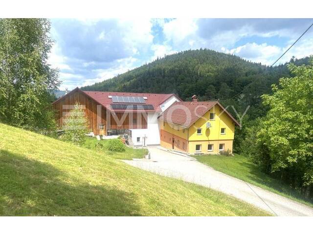 Immobilie in Rechberg - Absolute Ruhe-Historisches Bauernhaus in Alleinlage mit Lagerhallen - Bild 1