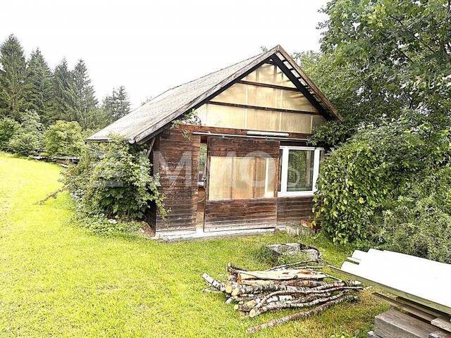 Immobilie in Rechberg - Absolute Ruhe-Historisches Bauernhaus in Alleinlage mit Lagerhallen - Bild 4