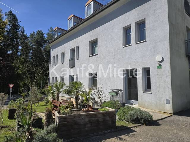 Immobilie in Weinitzen - Attraktive Kleinwohnung in Graz-Weinitzen - Bild 1