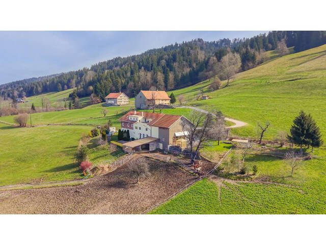 Immobilie in Thal - Sulzberg-Thal | Mehrparteienhaus | Großzügiges Anwesen mit 50.012 m² - Bild 1