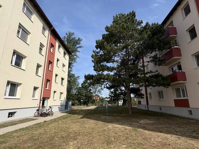 Immobilie in Teesdorf - Gemütliches Zuhause - Bild 1