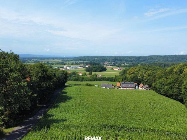 Immobilie in Tieschen - Lage, Lage, Lage - Rückzugsort im Grünen: Landhaus mit rund 8.000 m² Grundstück nahe Tieschen - Bild 1
