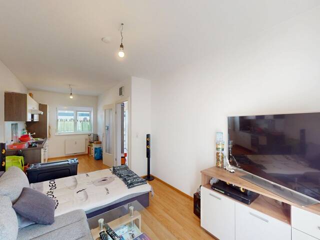 Immobilie in Gralla - Top-Grundriss trifft Wohnkomfort - 2-Zimmer-Wohnung mit Balkon & Carport: Bald selbst einziehen oder weiterhin klug investieren - Bild 2