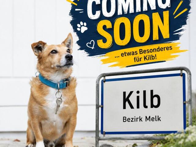 Immobilie in Kilb - VORANKÜNDIGUNG! Haus in Siedlungslage sucht neue Eigentümer! - Bild 0