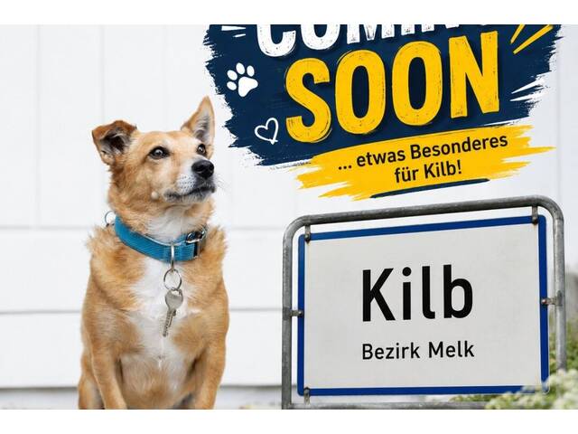 Immobilie in Kilb - VORANKÜNDIGUNG! Haus in Siedlungslage sucht neue Eigentümer! - Bild 2