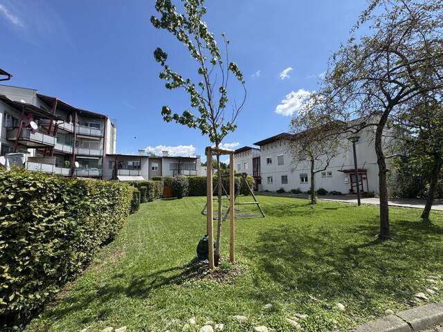 Immobilie in Feldkirchen bei Graz - Designerküche trifft Grünblick - Jetzt 3 Zimmer - Wohntraum zum Top-Preis sichern - Feldkirchen bei Graz - Bild 0