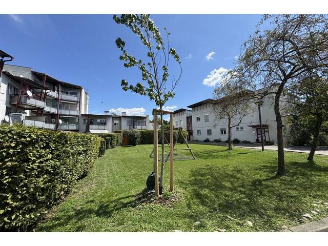 Immobilie in Feldkirchen bei Graz - Designerküche trifft Grünblick - Jetzt 3 Zimmer - Wohntraum zum Top-Preis sichern - Feldkirchen bei Graz - Bild 3