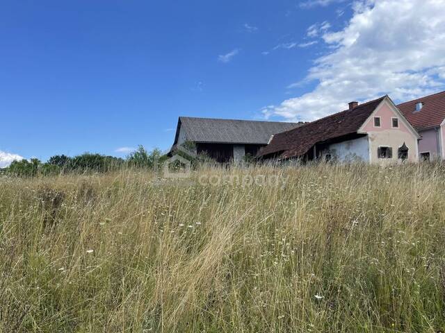 Immobilie in Kirchberg an der Raab - Historisches Anwesen mit rund 8.170 m² Bauland (Dorfgebiet) * Raum für Wohnen, Geschichte und neue Ideen - Bild 1