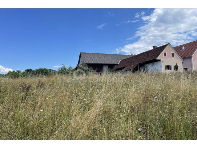 Immobilie in Kirchberg an der Raab - Historisches Anwesen mit rund 8.170 m² Bauland (Dorfgebiet) * Raum für Wohnen, Geschichte und neue Ideen - Bild 4