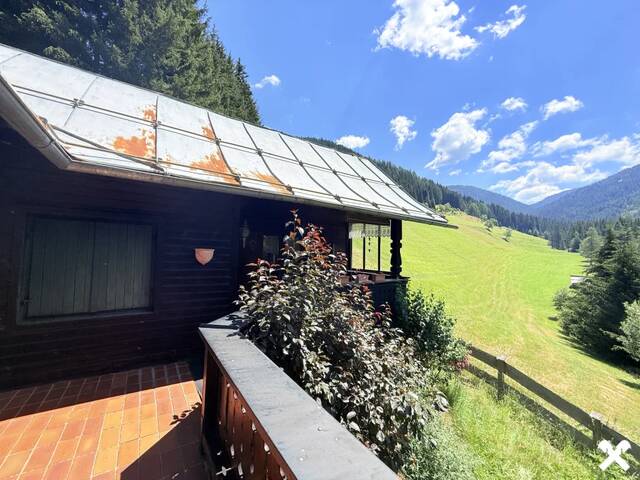 Immobilie in Eisentratten - Charmantes Almhäuschen in absoluter Ruhelage - Bild 3